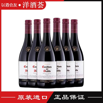 红魔鬼黑皮诺干红葡萄酒红酒