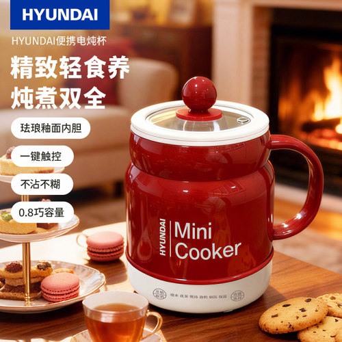 炖杯养生杯小型电煮锅电火热煮锅