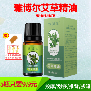 雅博尔艾草精油艾叶植物按摩刮痧开背拔罐艾灸美容院足浴店推拿
