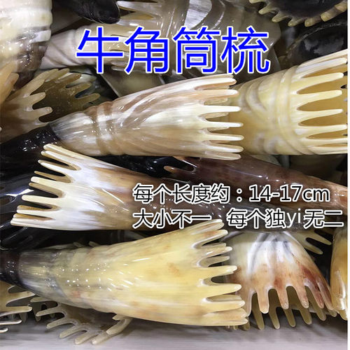 按摩头部全身通用拔筋棒天然牛角