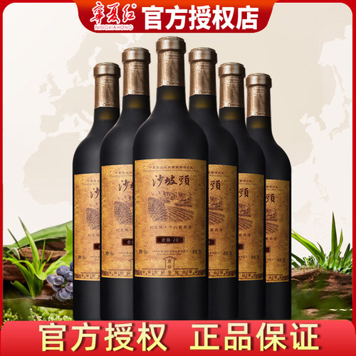 宁夏红蛇龙珠沙坡头贺兰山东麓