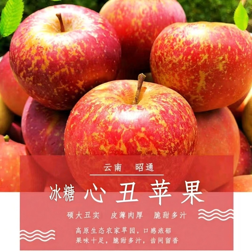 昭通冰糖心红富士苹果现摘直发