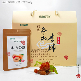 礼盒1000g甘肃特产条山景泰农场杏脯无核果干果脯蜜饯杏脯红杏肉