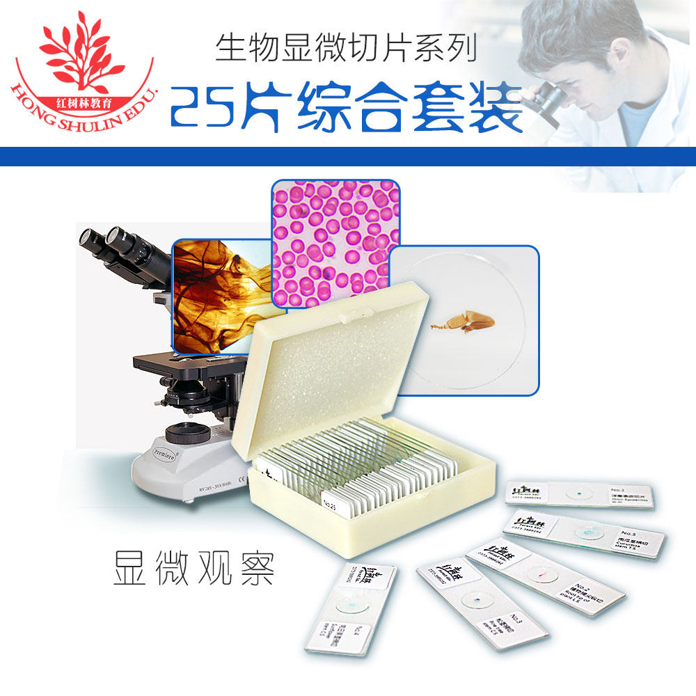 20片30片装生物显微镜观察标本切片草履虫装片学生科普实验玻片