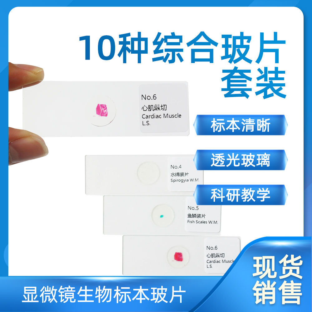 10种中小学生教学实验观察玻片取材新鲜染色经典显微镜标本切片