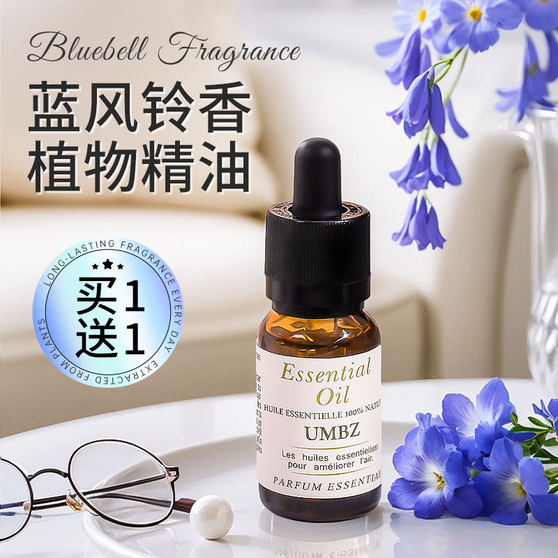 蓝风铃香薰精油加湿器车载专用水溶性香氛香薰机家用室内持久留香
