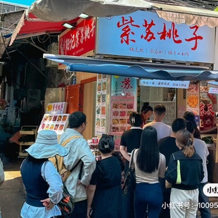 阳记紫苏桃子南门口长沙代购美食辣味酸枣粒芒果梅片酸枣卷梅条