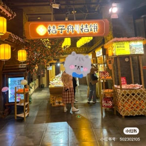 桔子舟长沙代购伴手李古法蜜桔饼翻砂桔饼陈皮梅饼桑葚山楂条