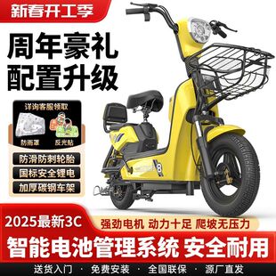 100里 800 新款 电动车自行车48v代步车新国标成人两轮电瓶续航60