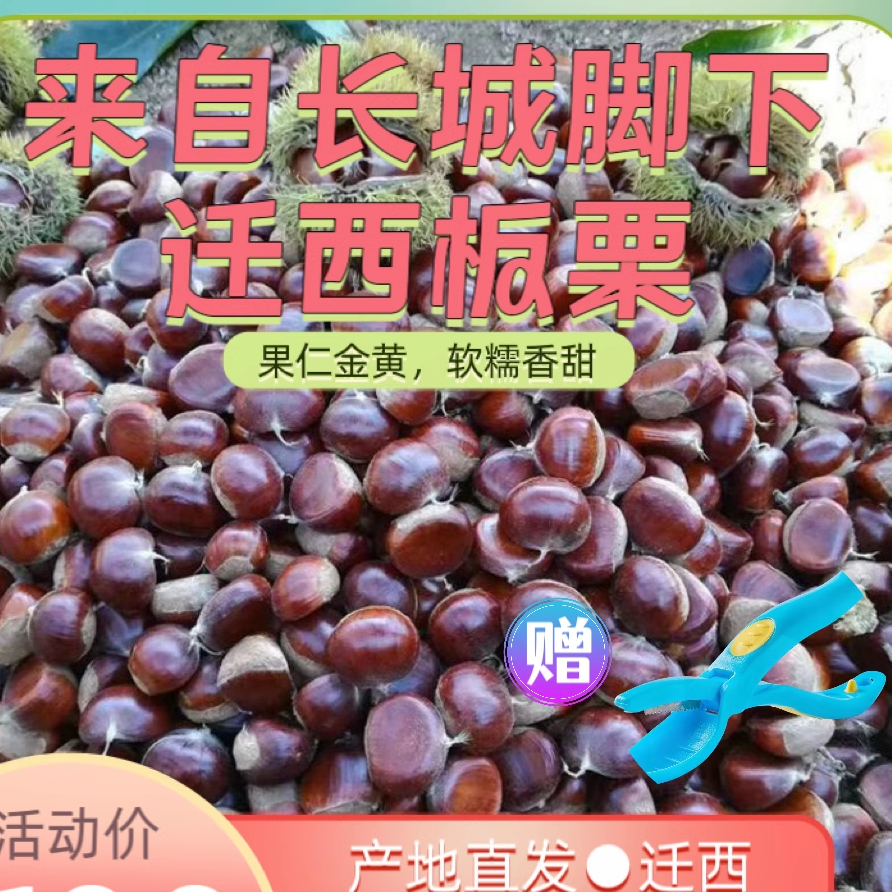 2024新鲜现货混装3113板栗迁西生板栗自家栗子糖炒专用2斤3斤5斤