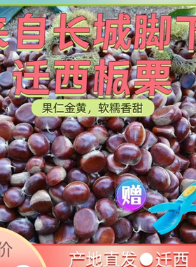2024新鲜现货混装3113板栗迁西生板栗自家栗子糖炒专用2斤3斤5斤