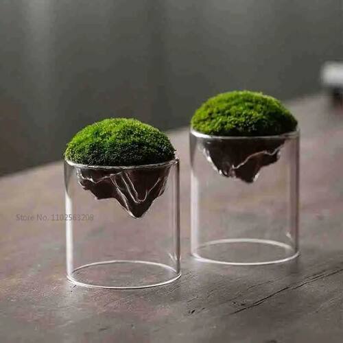 Creative Mountain Shaped Moss Glass Bottle Moss Vase Hydropo