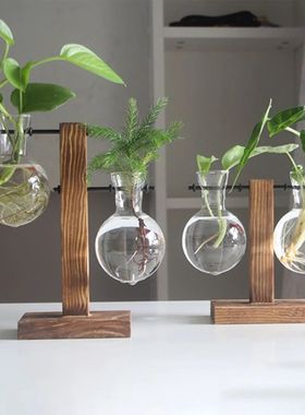 Creative Glass Desktop Planter Bulb Vase Wooden Stand Hydrop