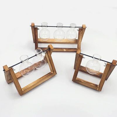 Bonsai Decor flower vase Plant Transparent Vase Wooden Frame