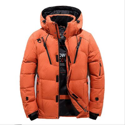 Down Jacket Men's 2024 Thickened Warm Clothes Coldproof Goos