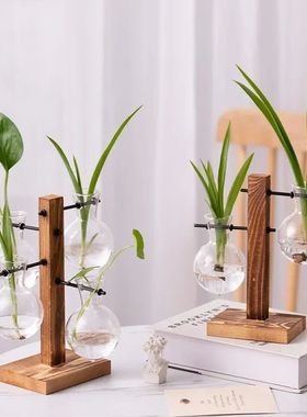 Terrarium Vasevase Decoration Home Bonsai Flower Plant Vases