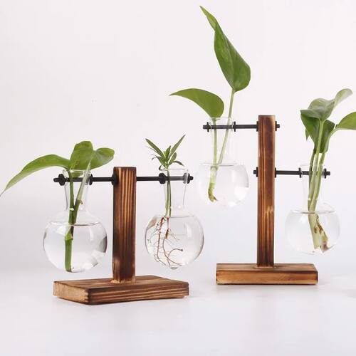 Hydroponic Plant Terrarium Vasevase Decoration Home Glass Bo