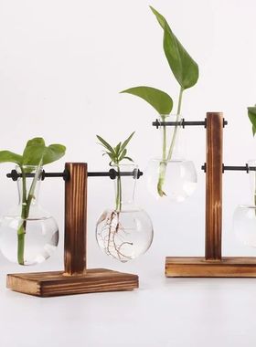 Hydroponic Plant Terrarium Vasevase Decoration Home Glass Bo