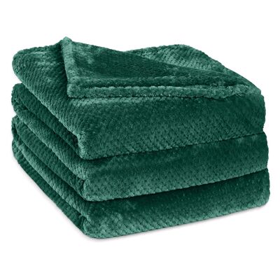 Throw Blanket Throw Size Fuzzy Throw Blanket for Couch Sofa