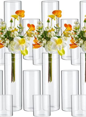 Glass Cylinder Vases 4 6 8 Inch Tall Clear Flower Vase Hurri