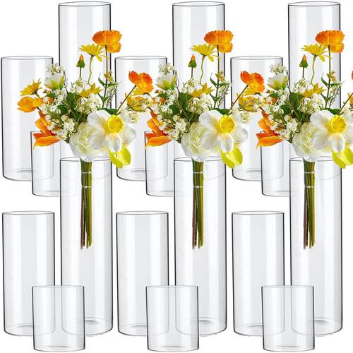 Glass Cylinder Vases 4 6 8 Inch Tall Clear Flower Vase Hurri