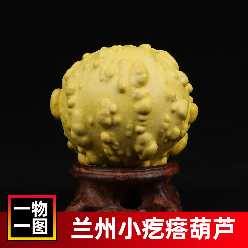天然小葫芦彩疙瘩葫芦文玩手捻手把件奇形异型满疙瘩工艺品兰州