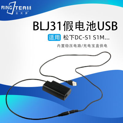 适用松下DC-S1 S1M S1R S1RM S1H相机BLJ31假电池DCC16全解码USB