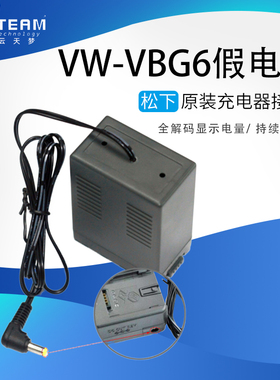 VW-VBG6假电池充电器接口适用松下HMC153 73 AC130 160 MC MDH1GK