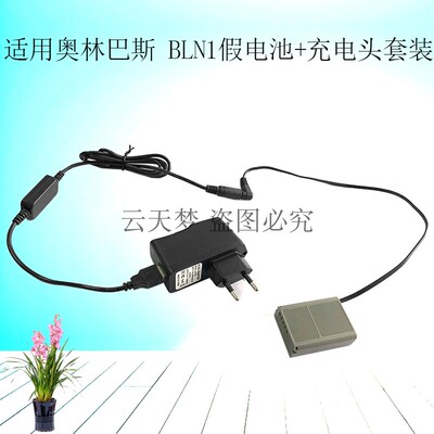 欧规5V 3A插头供电头连接BLN-1假电池+USB母头线套装E-P5 E-M1