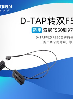 假电池D-TAP一拖二F550适用索尼GV-HD700,GV-HD7O0E AX2000E FX1