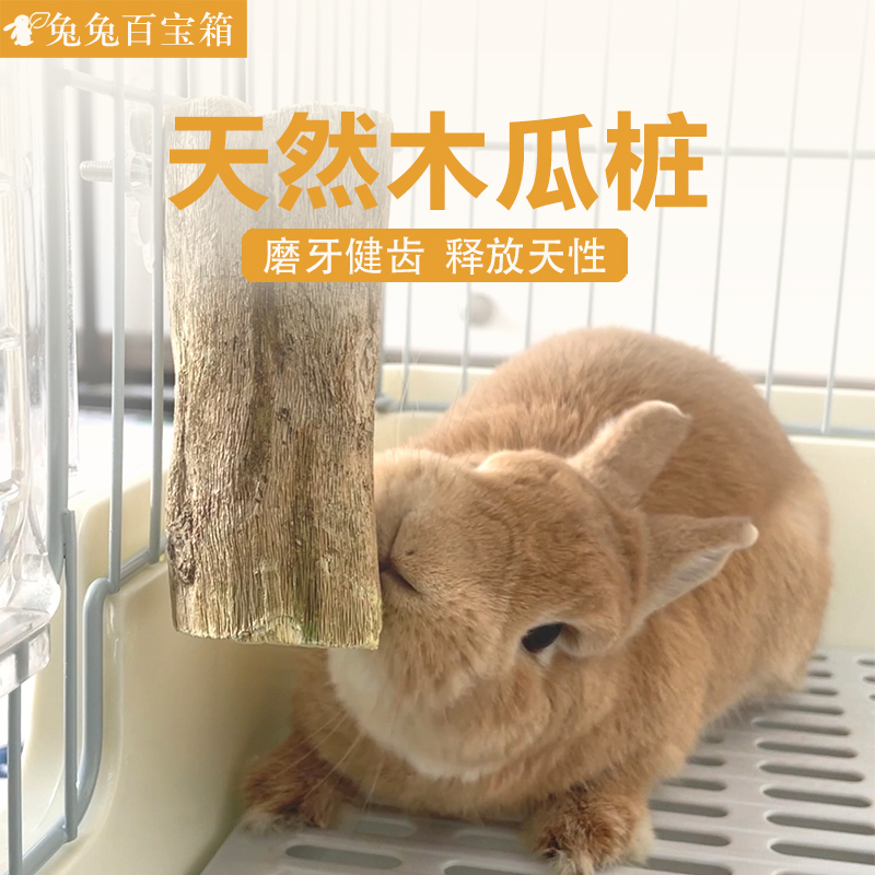 木瓜树桩兔子磨牙零食