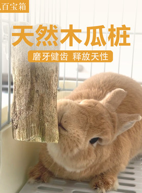 木瓜树桩兔子磨牙零食
