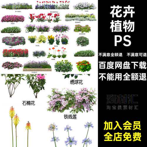 景观花境PS地被植物园林景观procreatePSD花镜花卉