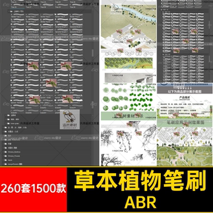 花草树木笔刷草本植物260套1500款 后期水墨平面园林景观PS素材