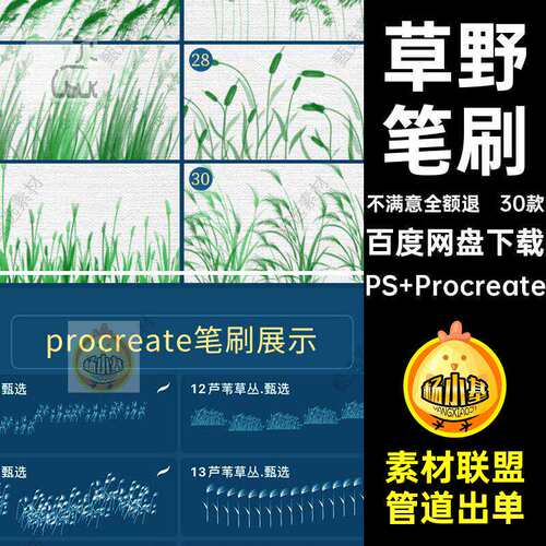 芦苇笔刷PS Procreate植物浦丛剪影草野后期素材ps