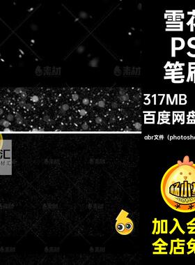 下雪效果大雪花飘雪白色圣诞节冬季冬天暴雪ps笔刷背景图片素材