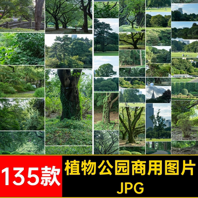 植物园公园照片JPG135款摄影树林JPG森林背景图片jpgJPG数目可