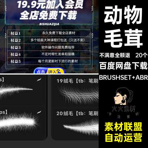 20个卷毛笔刷茸毛ps狗球卷毛猫procreate毛绒猫毛发