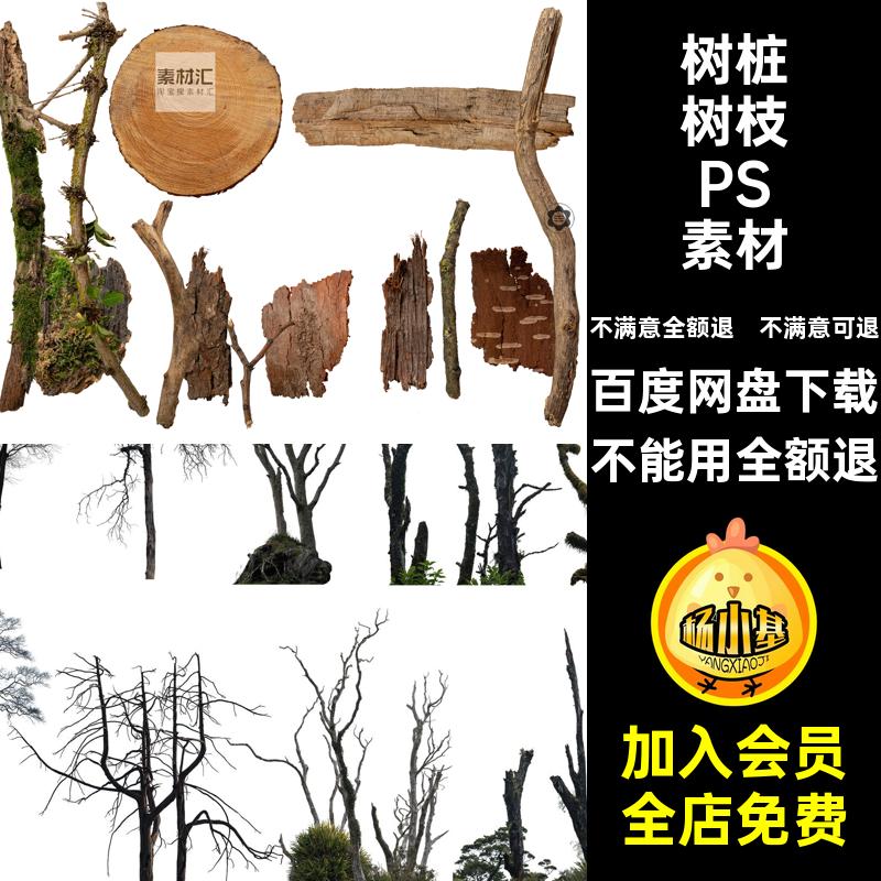 树干树枝PSD素材免抠树皮ps植物枯木效果图木头苔癣树桩枯树PS