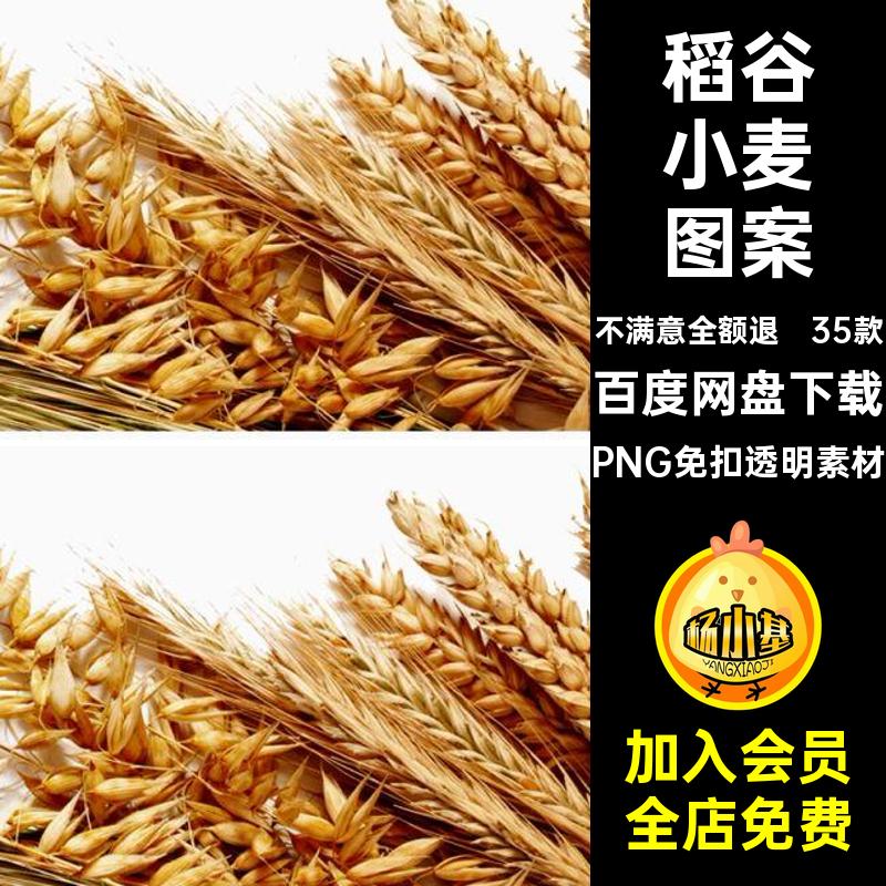 麦穗小麦图案PNG免扣透明素材绿色边框金色卡通PS稻谷手绘图片