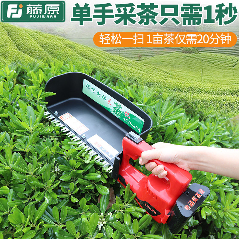 藤原电动采茶机单人便携式充电式茶树茶叶采摘机快速茶叶采摘工具