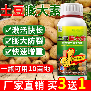 土豆专用膨大素高产增产专用肥地下根茎马铃薯红薯彭大叶面肥