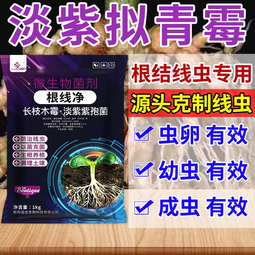 根线清根结线虫专用药颗粒淡紫拟青霉菌淡紫紫孢菌根线虫专用药净