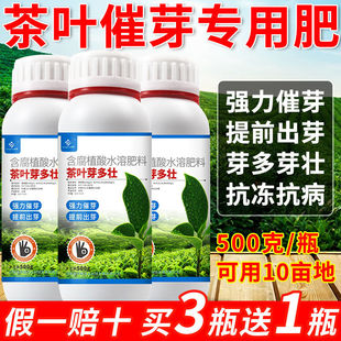 茶叶专用叶面肥喷施催芽催芽素催芽剂爆牙素有机水溶肥壮芽嫩芽素