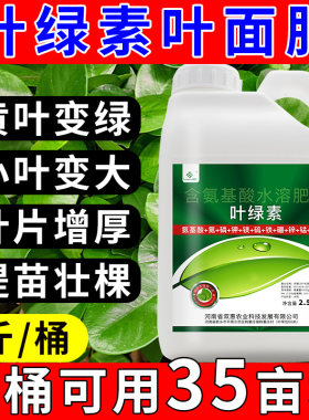 叶绿素氨基酸叶面肥绿叶素一喷绿