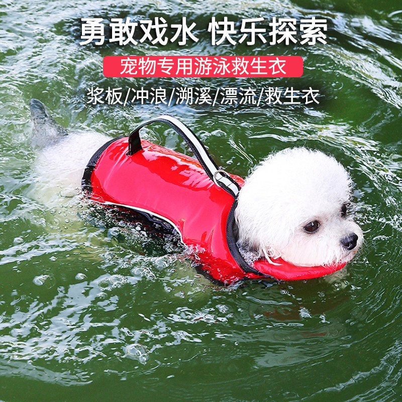 狗狗游泳衣浮力救生衣夏季玩水衣服户外安全泳池小中型犬泰迪宠物