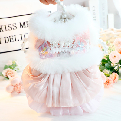 狗狗衣服秋冬装厚款猫咪公主唐装毛领纱裙汉服小型犬泰迪宠物6922