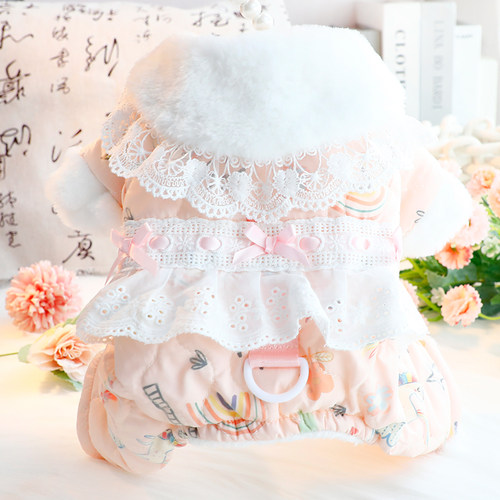 可牵引 男女狗狗都能穿