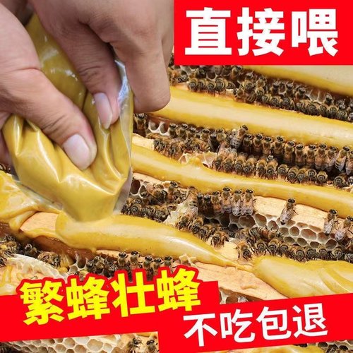 蜜蜂花粉浆喂蜂天然花粉中蜂蜂粮