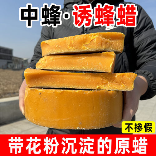 纯天然中蜂蜡诱蜂招蜂分蜂